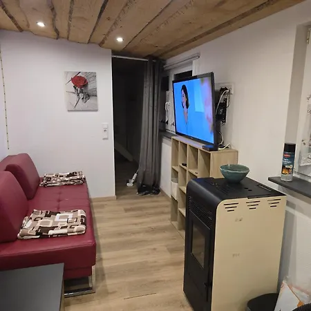 Ferien- Und Monteurwohnung Gruenstadt-worms * Obrigheim (Bad Durkheim)