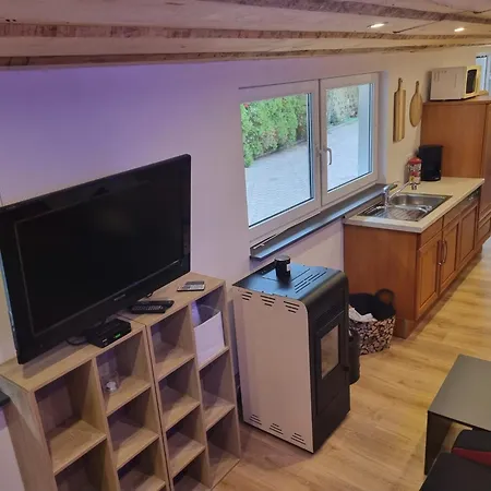 Apartmán Ferien- Und Monteurwohnung Gruenstadt-worms Obrigheim (Bad Durkheim)